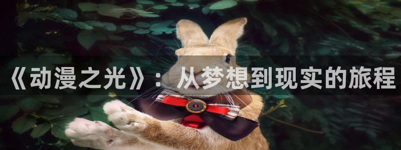 51动漫在线观看网站：《动漫之光》：从梦想到现实的旅程