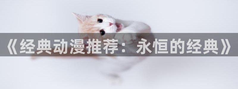 51动漫网在线观看：《经典动漫推荐：永恒的经典》