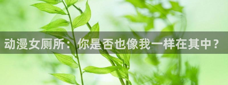 51动漫国产精品入口：动漫女厕所：你是否也像我一样在其中？