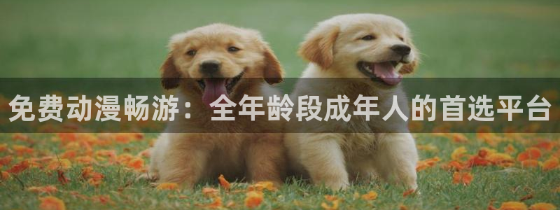 51动漫网网站：免费动漫畅游：全年龄段成年人的首选平台